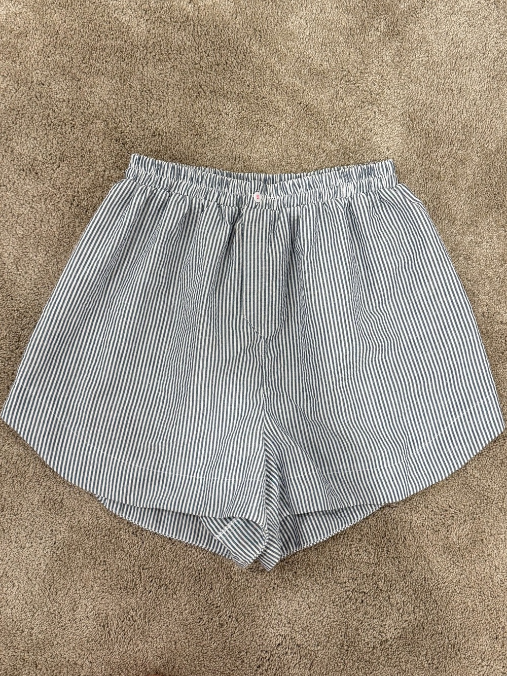 Free People Blue and White Pinstripe Elastic Waist Shorts